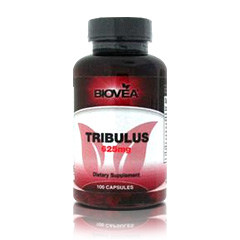 tribulus